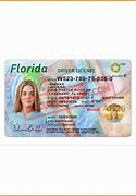 Image result for Current Florida Driver's License