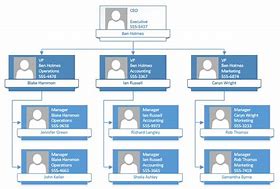 Image result for Organization Chart in Visio
