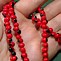 Image result for Rosary Pea Necklace