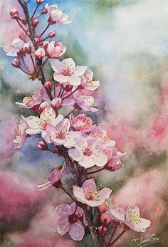 Vẽ hoa anh đào - Cherry Blossoms Drawing | Watercolor flower art, Flower art painting, Cherry blossom painting