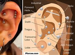Image result for 4 Earrings in One Ear