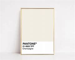 Image result for Champagne Mist Pantone