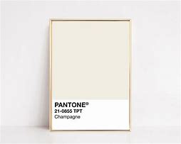 Image result for Champagne Gold Color Swatch