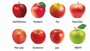 Image result for Colored Apple's