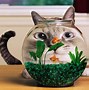 Image result for Funny Fish Pics