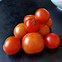 Image result for Solanum lycopersicum Gardeners Delight