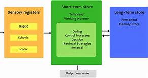 Image result for Memory Theory