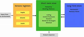 Image result for Human Memory Types