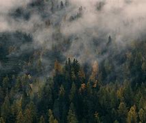 Image result for PC UHD Wallpaper Foggy