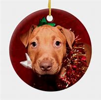 Image result for Pit Bull Ornament