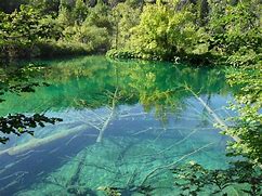 Image result for Croatia Nature