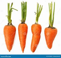 Image result for 4 Carrots
