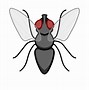 Image result for Fly Insect Cartoon