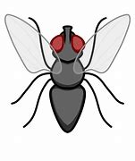 Image result for Black Background Cricket Insect Cartoon