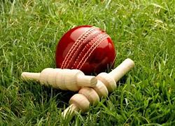Image result for Ball in Crick