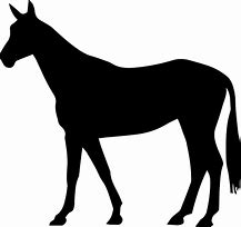 Image result for Tattoos of Horse On Back