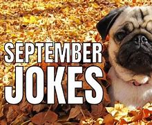 Image result for September Humor