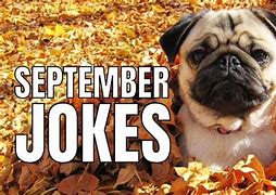 Image result for September Dad Jokes