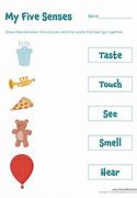 Image result for 5 Senses Kids Activities