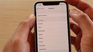 Image result for Vibrate iPhone 11 Pro Max