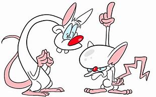 Image result for Pinky and the Brain Color
