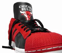 Image result for Chicago Bulls 75th Shoes