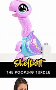 Image result for Pooping Turtle Toy