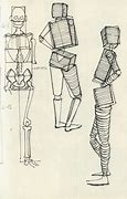Image result for Human Form Sketch