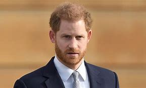 Image result for Prince Harry Speech