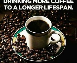 Image result for Funniest Coffee Memes