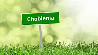 Image result for chobienia