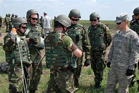 Image result for Romanian Armed Forces
