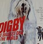 Image result for Show Me the Biggest Dog in the World