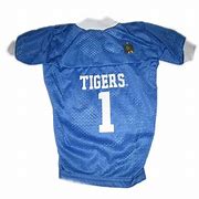 Image result for Memphis Tigers Jersey