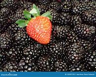 Image result for BlackBerry Fruta