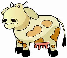 Image result for Cow Age App Meme