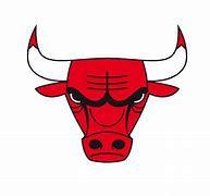 Image result for Chicago Bulls Team Logo