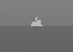 Image result for Mac OS Family
