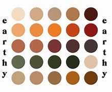 Image result for Earth Tone Color Scheme