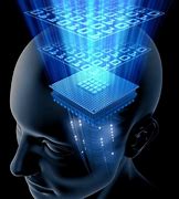 Image result for How Human Memory Works