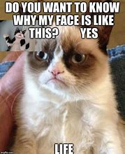 Image result for Meme My Face Is Like