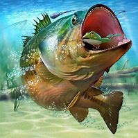 Image result for Red Bass Fishing Wallpaper