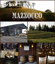 Image result for Mazzocco Chardonnay Reserve Stuhlmuller