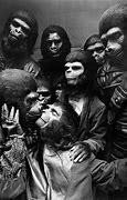 Image result for Apes Kissing