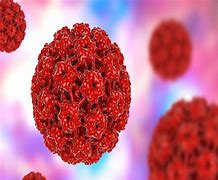 Image result for In Early Stages Genital Human Papillomavirus