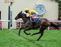 Image result for Canute Royal Ascot