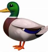 Image result for Duck Emoji Copy and Paste