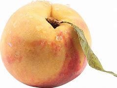 Image result for iPhone Peach PNG