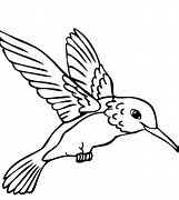 Image result for Hummingbird Clip Art Free for Coloring