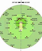 Image result for Cricket Field